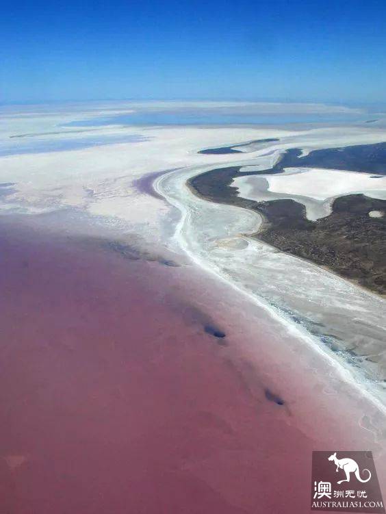 Lake El: the most mysterious lake in Australia, only once in 25 years.