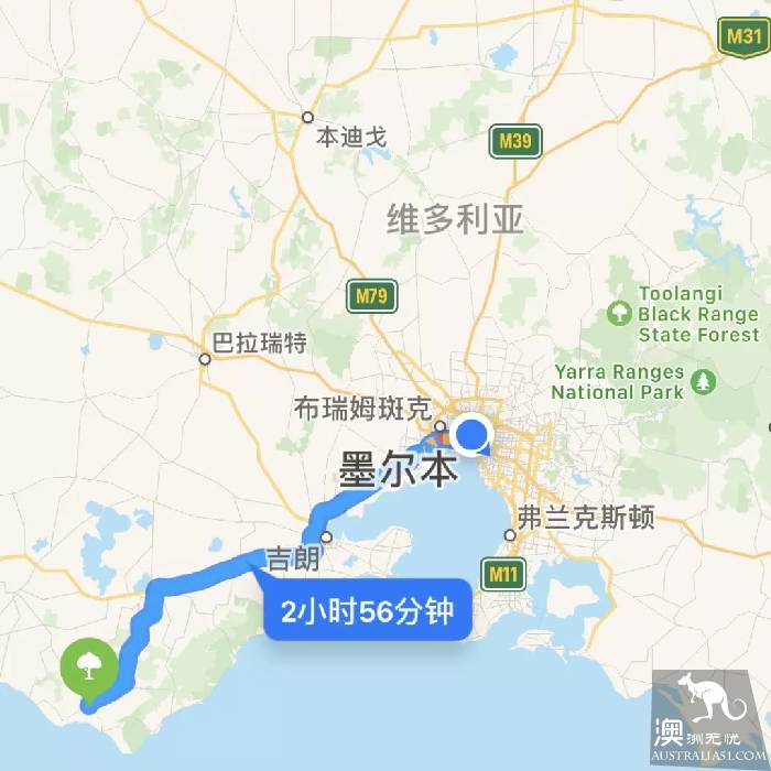 Melbourne all firefly watching introduction, drive 2 hours! Go to Melba Gully and see the fireflies.