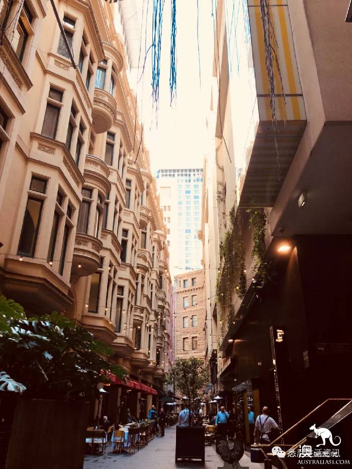 来悉尼这么久,都不知道CBD还能这样逛!走这几条路线,就像到了新城市