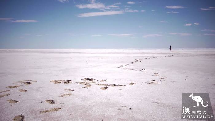 Lake El: the most mysterious lake in Australia, only once in 25 years.