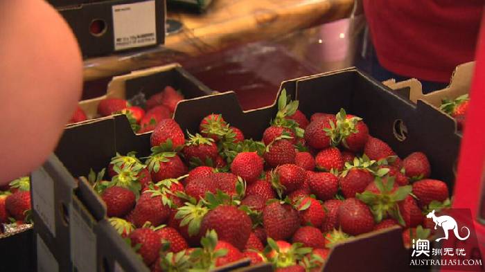 'Strawberry Sunday,' thousands of people flock to farms to buy strawberries to support growers