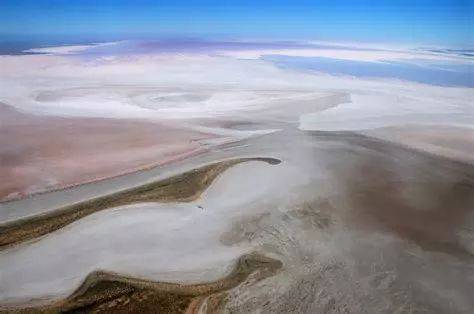 Lake El: the most mysterious lake in Australia, only once in 25 years.