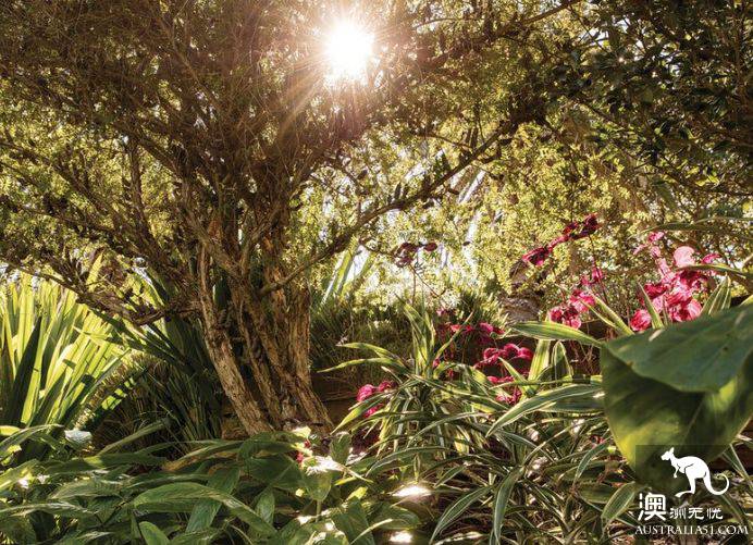 How romantic! These unknown picnic resorts in Sydney are picturesque! Put it away and sign in one by one.