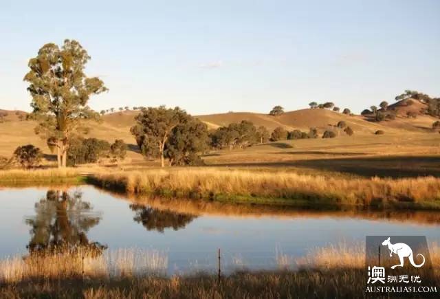 Now it must be known that each of the nine largest wine producers in Australia has hidden mystery.