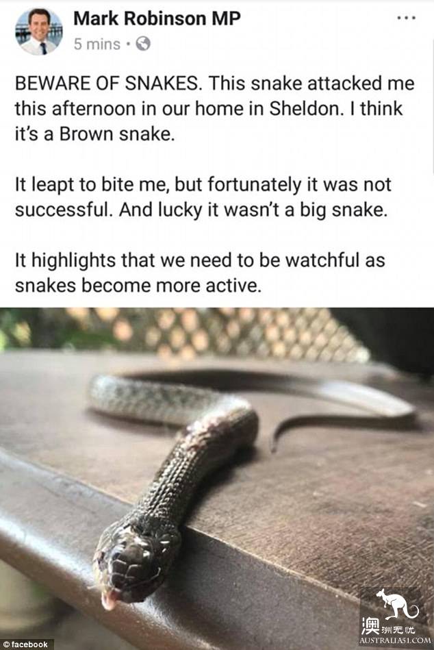 Australia's councillors have killed non-venomous snakes who broke into their homes, sparking controversy