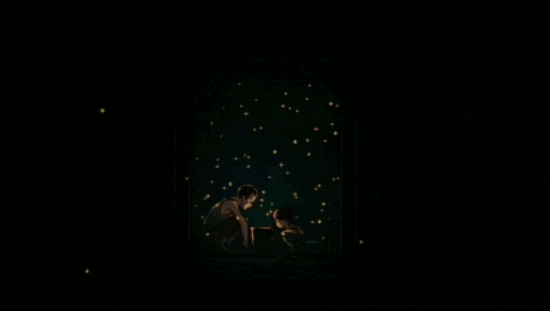 Melbourne all firefly watching introduction, drive 2 hours! Go to Melba Gully and see the fireflies.