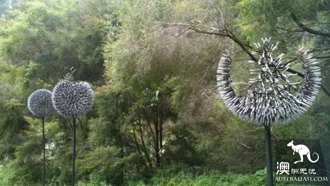Sydney will have a magical thing to happen, a group of elves outside Sydney, like a dream!