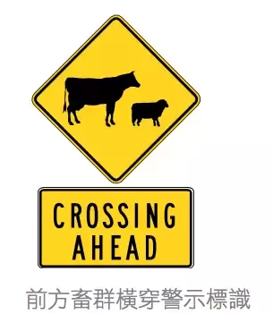 Old drivers must also see: Australian traffic rules are summarized! Collection