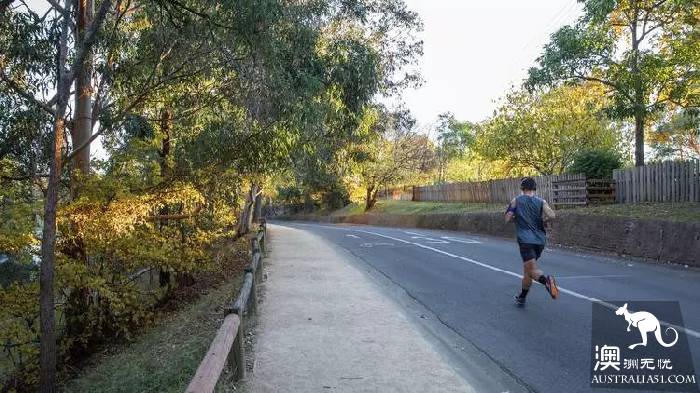 Sydney is the best place to go for a walk in 10 parks. Check in one by one on that sunny day.